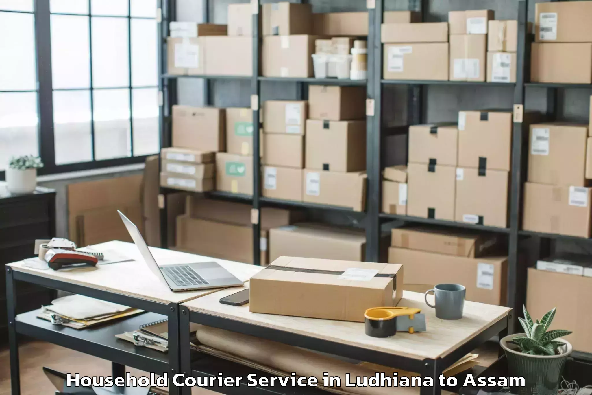 Reliable Ludhiana to Tezpur University Tezpur Household Courier